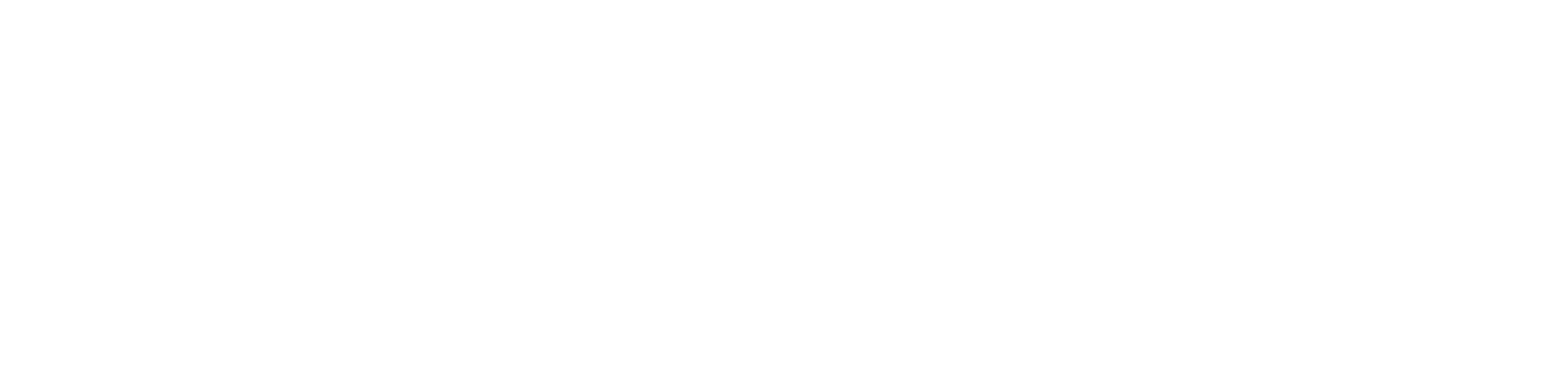 Blue Bohemian USA logo